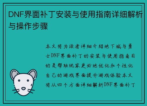 DNF界面补丁安装与使用指南详细解析与操作步骤